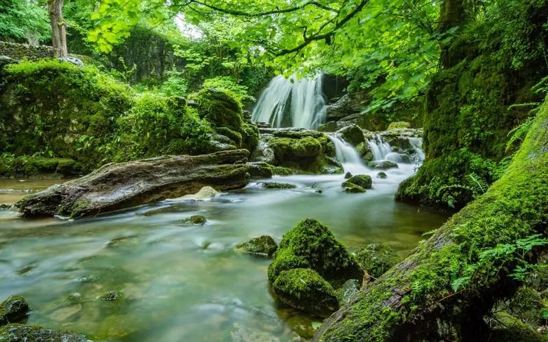 可靠性高效